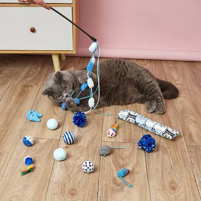 Four-Color Cat Toy Set, Self-Assembled Cat Teaser Toys - 3