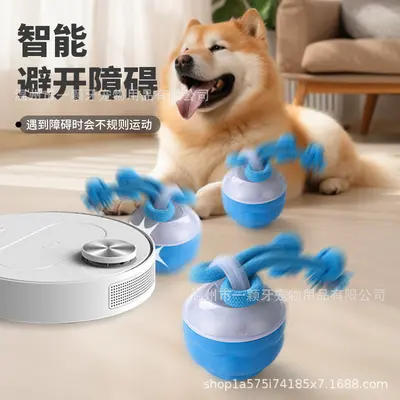 Sınır ötesi akıllı yuvarlanan top elektrikli köpek sıkıntısı giderici akıllı ısırmaya dayanıklı köpek topu diş kaşıma oyuncağı