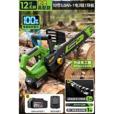 Lvlin Rechargeable Electric Chainsaw High-Capacity Lithium Battery - 11