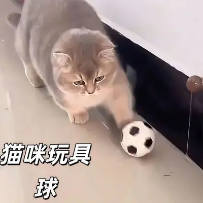 Katzen-Fußball-Spielzeug, interaktiver Trainingsball - 1