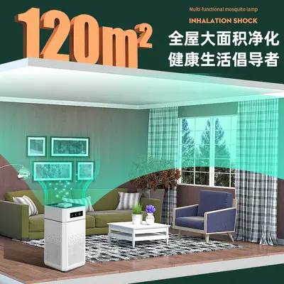 Negative Ion Air Purifier with Formaldehyde Removal Filter, Desktop