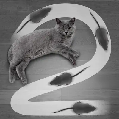 Remote Control Simulation Mouse Cat Toy, Wireless Electric - 4