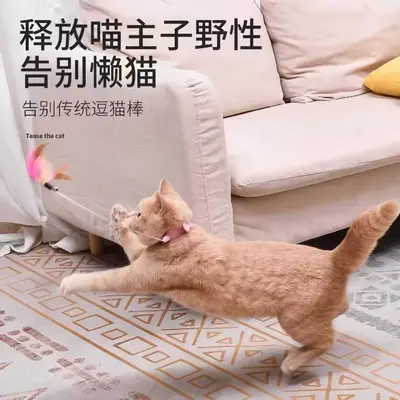 Wearable Cat Teaser Wand with Collar, Feather and Bell Cat Toy - 3