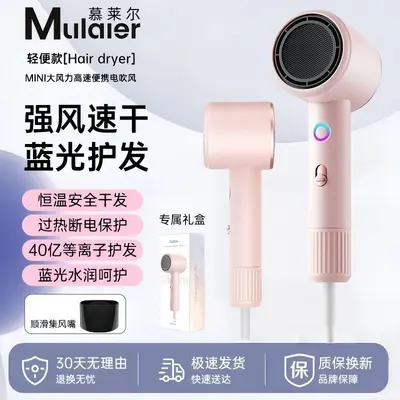 High-Power Negative Ion Hair Dryer with Hot and Cold Settings, Quiet
