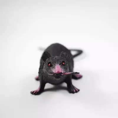 22 cm fare kedi oyuncağı, komik şaka oyuncağı, kediler ve evcil hayvanlar için - 5