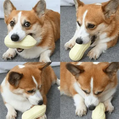 Peanut-Shaped Squeaky Dog Toy for Small Breeds - 2