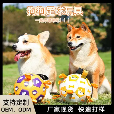Interactive Football Dog Toy for Outdoor Use, Bite-Resistant - 1