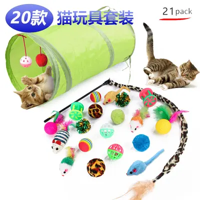 21-teiliges Katzenspielzeug-Set, Katzentunnel, Angelspielzeug und Plüschmaus