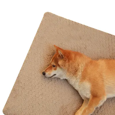 Washable Plush Dog Bed, Warm Winter Mat with Foam Egg-Crate Padding