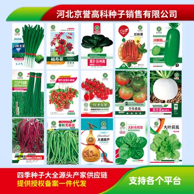 Four-Season Vegetable Seeds Set, Including Radish and Beans, 200+ Varieties - 4