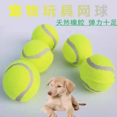 Dayanıklı ısırmaya karşı köpek topu, dış mekan, elastik, büyük ve küçük ırklar için - 4