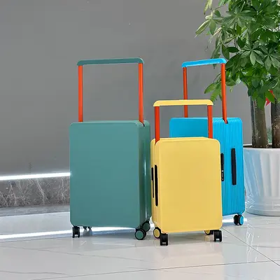 20 and 24 inch luggage suitcase set with wheels