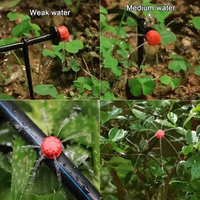 Achtloch-Tropfer für Obstbaum-Tropfbewässerung