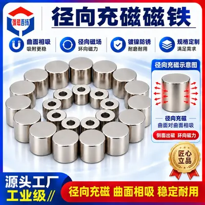 NdFeB Radial Magnetized Magnet for Hall Sensor, Customized Radial Magnet Bar