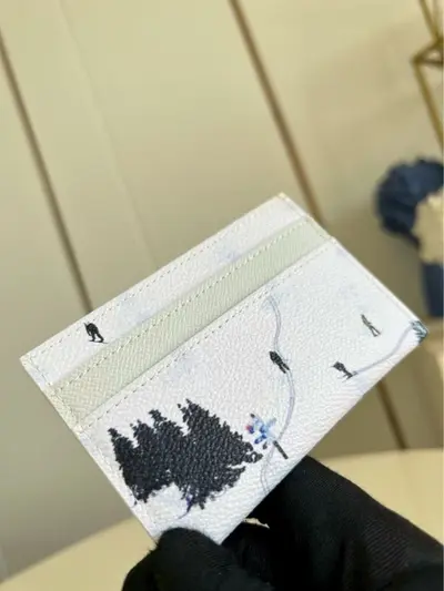 Graffiti Passport Holder and Card Wallet, Vacation Series