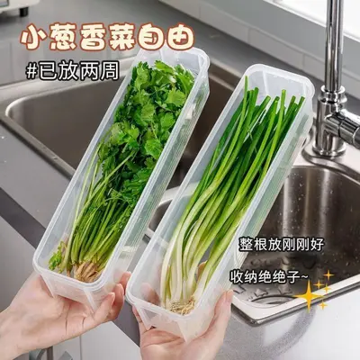 Cilantro Yeşil Soğan Saklama Kutusu Buzdolabı Taze Tutma Kutusu Kişniş Bütün Saklama Aracı Makarna Yumurta Hazırlık Taze Tutma Sızdırmaz Kapaklı