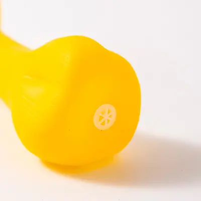 亚马逊爆款宠物玩具磨牙发声狗玩具自嗨解闷小狗玩具组合狗狗用品