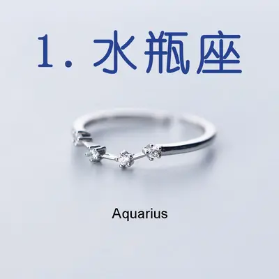 Cross-border hot sale zircon silver plated twelve constellations open adjustable ring fashion women constellation ring factory wholesale - 7
