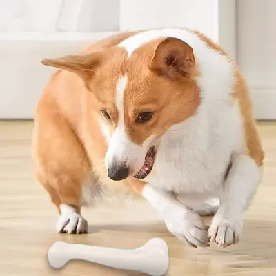 Bone-Shaped Chew Toy for Dogs and Cats, Bite-Resistant