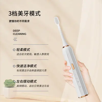 Magnetic Levitation Sonic Electric Toothbrush, USB Rechargeable, Waterproof - 4