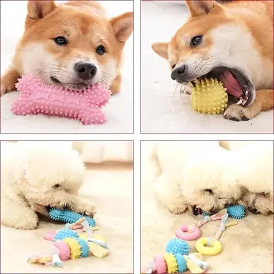 Köpek çiğneme oyuncağı, diş kaşıma çubuğu - 4