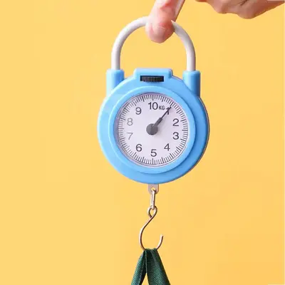 Portable Mini Hook Household Digital Spring Scale
