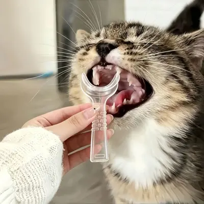 Zahnreinigungsspreizer für Katzen und Hunde - 5