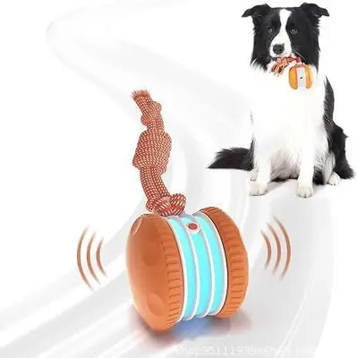 Bissfester Hüpfball mit Seil für Hunde - 5