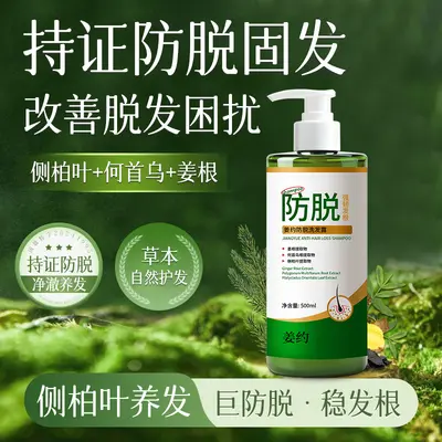Ginger Anti-Hair Loss Shampoo with Platycladus Leaf and Polygonum - 2