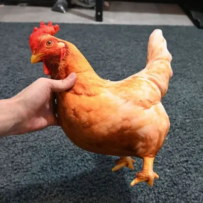 Cute Realistic Hen Plush Toy, Sleeping Companion Pillow
