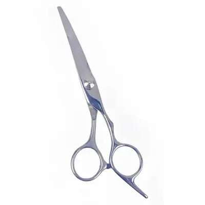 Professional Hair Scissors for Thinning and Bangs - 10