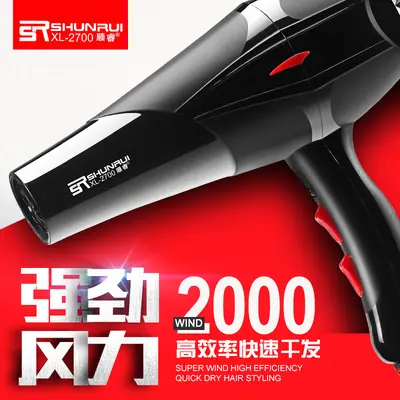 Professional Household Hair Dryer, 2000 W, Hot and Cold Air