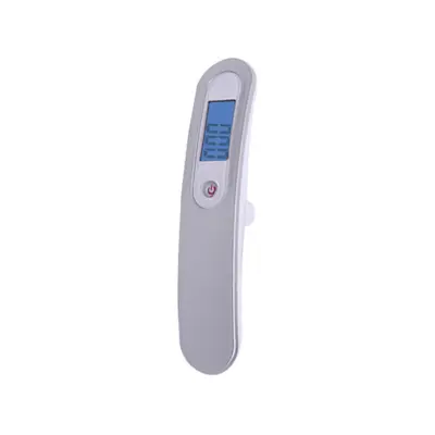 Portable Stainless Steel Luggage Scale, Digital Mini Scale - 7