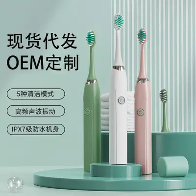 Home Vibrating Toothbrush with Water Flosser, Rechargeable, Adult Ultrasonic