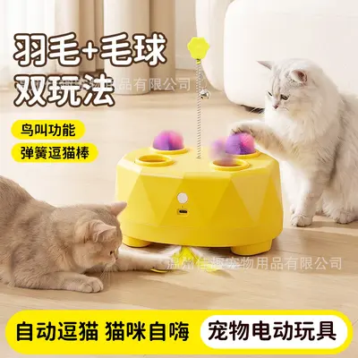 Multifunctional Interactive Electric Cat Toy with Feather Wand - 5