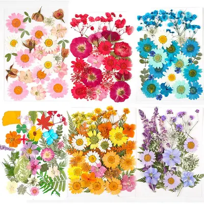 Getrocknete Pressblumen-Materialpaket für DIY-Epoxidharzprojekte