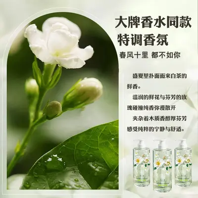 Weißer-Tee-Duft-Shampoo, Tiefenreinigend, Langanhaltender Duft - 5