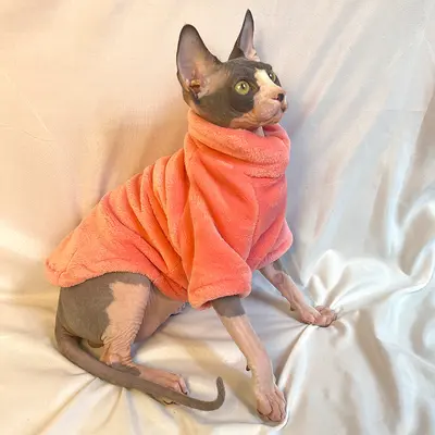 Thickened Autumn-Winter Clothing for Hairless Cats, Fleece-Lined