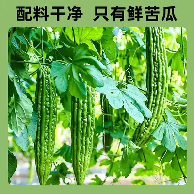 Pure Bitter Melon Concentrate, Freshly Pressed, No Added Water, 30mL