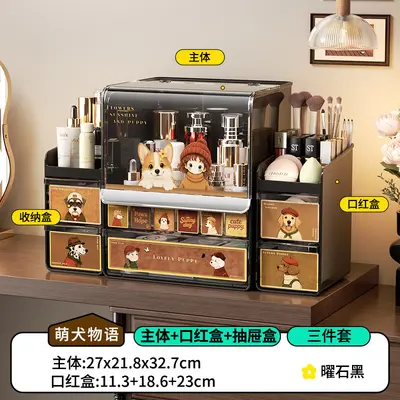 Premium-Schminkschrank mit Schublade Staubschutz große Kapazität - 9