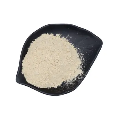 玉米蛋白粉60% 盛元泰供应食品级玉米提取植物蛋白粉 量大从优