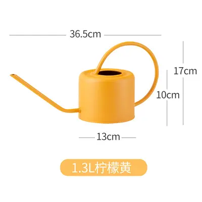 Iron Watering Can with Long Spout, Fine Nozzle for Succulents, Household and Garden - 7