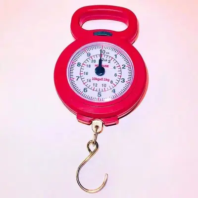 Portable Mini Electronic Hanging Scale, Precise Kitchen Spring Scale