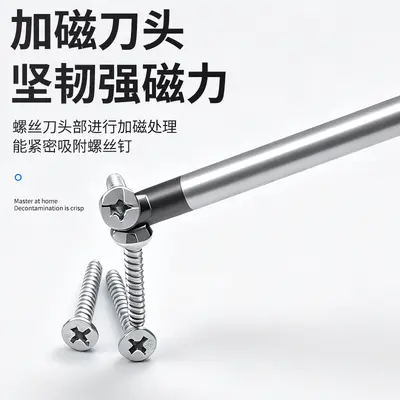 Screwdriver set, magnetic, slotted and Phillips bits