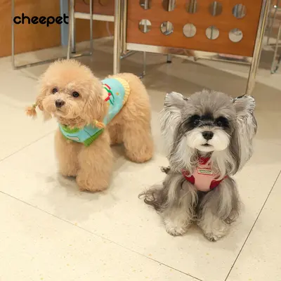 Pomeranian Köpek Kazağı, Kolsuz Örme, Sonbahar Kış