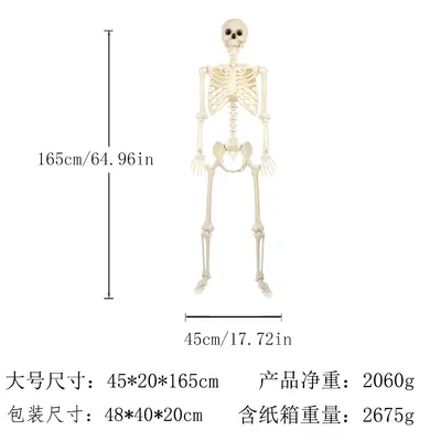 Halloween Skeleton Figure, Realistic Human Skeleton Walking Dog, Party and Yard Decoration - 9