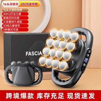 16-Head Professional Massage Gun, High-Torque Muscle Massager - 9