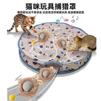 Electric Interactive Cat Hunting Net Toy with Rolling Ball - 10