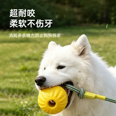 Köpek tug oyuncağı, orta/büyük irk, interaktif - 3