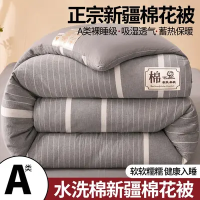 Class A Xinjiang Cotton Quilt, Thickened, Single Size - 12
